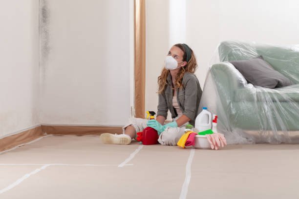 Reliable Mold Remediation contractor in Shakopee, MN by WQB Mold Removal